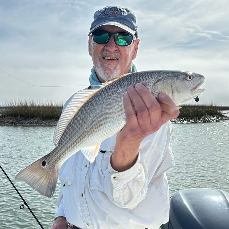 AHQ INSIDER Beaufort (SC) 2024 Week 5 Fishing Report – Updated January 31