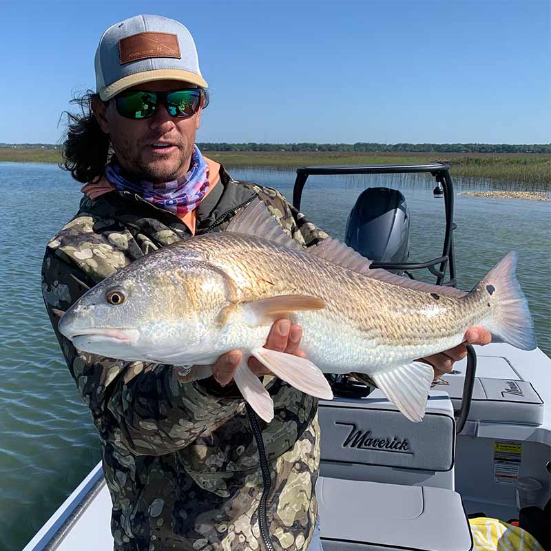 AHQ INSIDER Beaufort (SC) 2023 Week 17 Fishing Report – Updated April 27