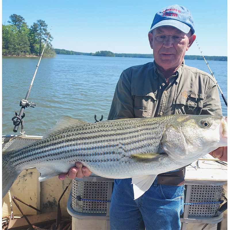 A 25-pounder caught this week with Captain Chris Simpson