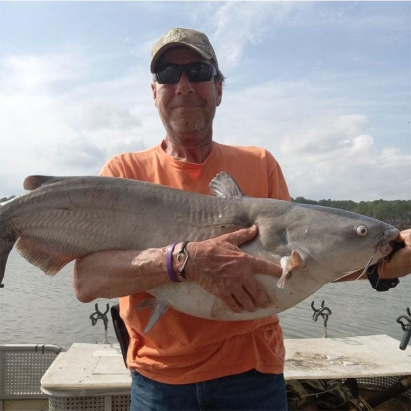 AHQ INSIDER Clarks Hill (GA/SC) 2023 Week 9 Fishing Report – Updated March 2
