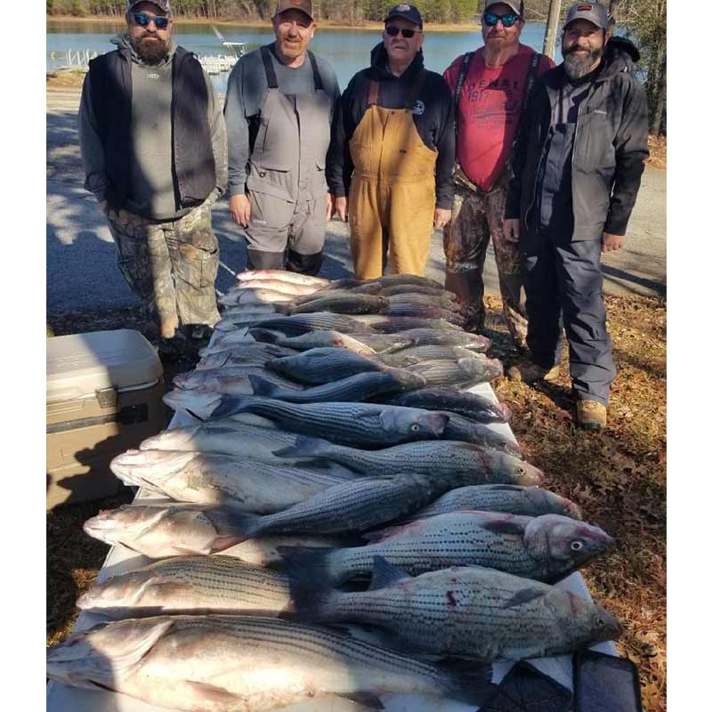 AHQ INSIDER Clarks Hill (GA/SC) 2023 Week 4 Fishing Report – Updated January 26