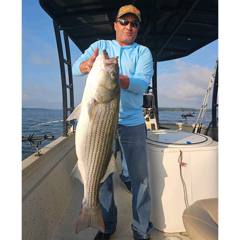 AHQ INSIDER Clarks Hill (GA/SC) 2023 Week 33 Fishing Report – Updated August 17