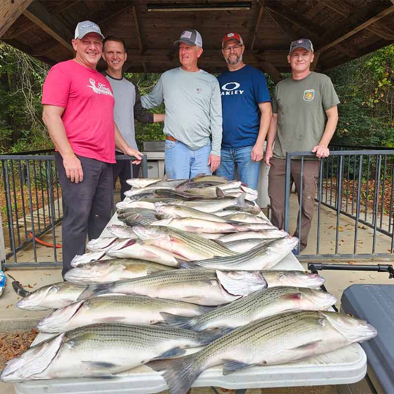 AHQ INSIDER Clarks Hill (GA/SC) 2023 Week 45 Fishing Report – Updated November 9