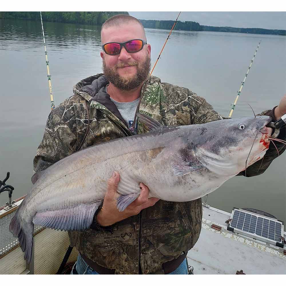 AHQ INSIDER Clarks Hill (GA/SC) 2024 Week 20 Fishing Report – Updated May 15
