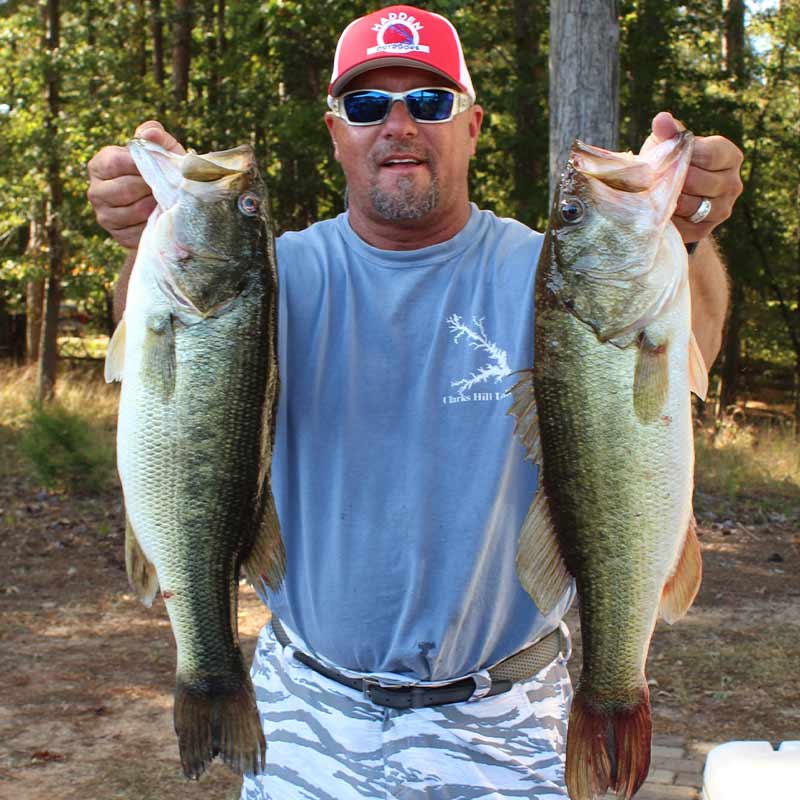 AHQ INSIDER Clarks Hill (GA/SC) 2023 Week 41 Fishing Report – Updated October 13