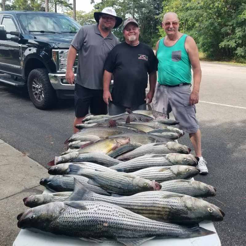 AHQ INSIDER Clarks Hill (GA/SC) 2022 Week 37 Fishing Report – Updated September 15