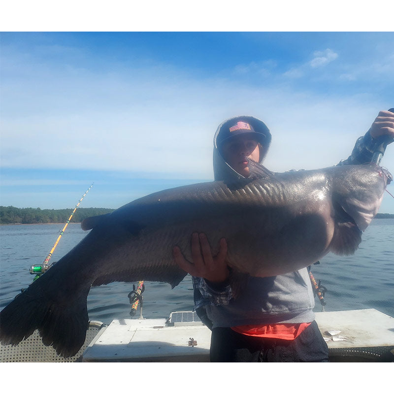 AHQ INSIDER Clarks Hill (GA/SC) 2022 Week 44 Fishing Report – Updated November 4