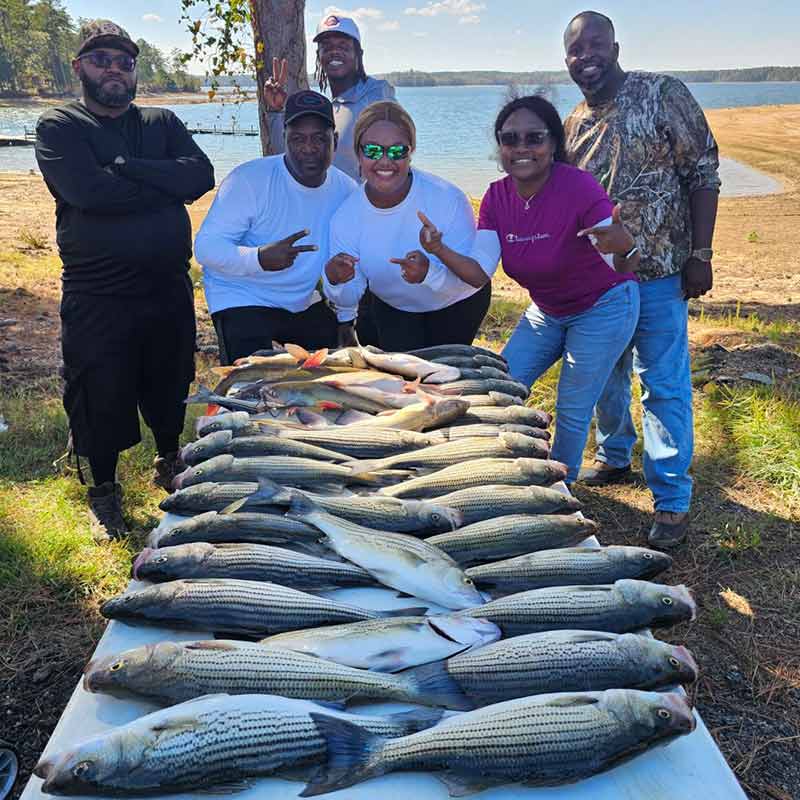 AHQ INSIDER Clarks Hill (GA/SC) 2023 Week 48 Fishing Report – Updated November 30