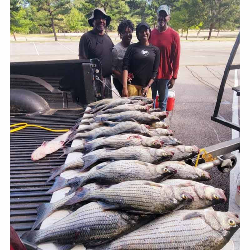 AHQ INSIDER Clarks Hill (GA/SC) 2022 Week 41 Fishing Report – Updated October 12