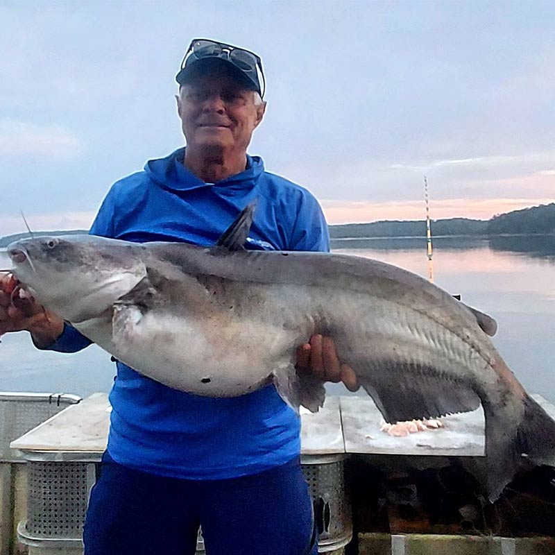 AHQ INSIDER Clarks Hill (GA/SC) 2022 Week 39 Fishing Report – Updated September 29
