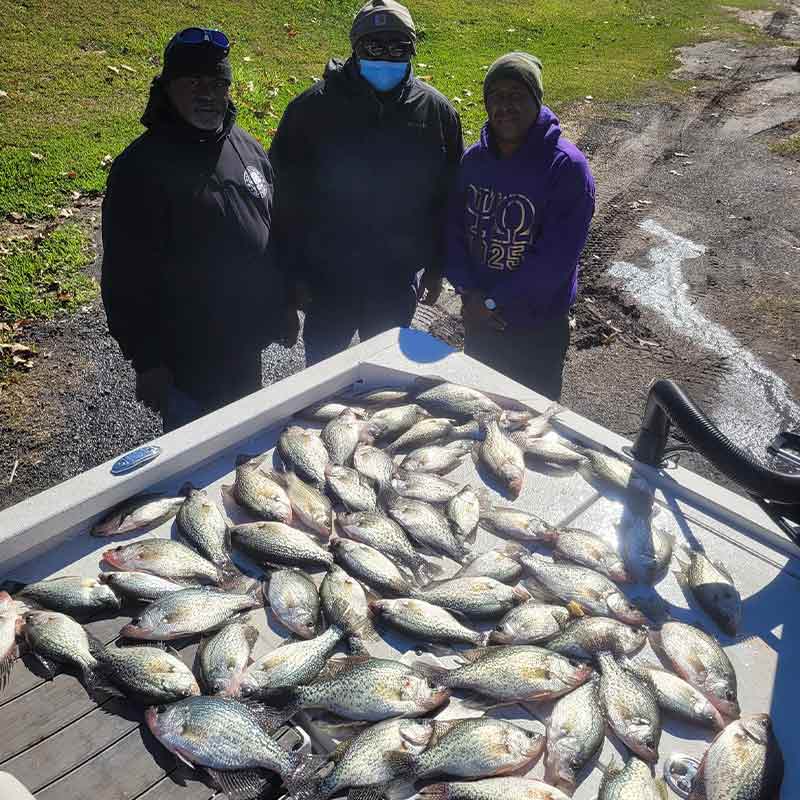 AHQ INSIDER Lake Greenwood (SC) 2022 Week 46 Fishing Report – Updated November 17