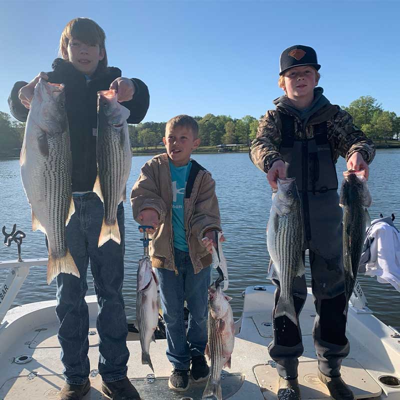 AHQ INSIDER Lake Greenwood (SC) 2024 Week 5 Fishing Report – Updated January 31