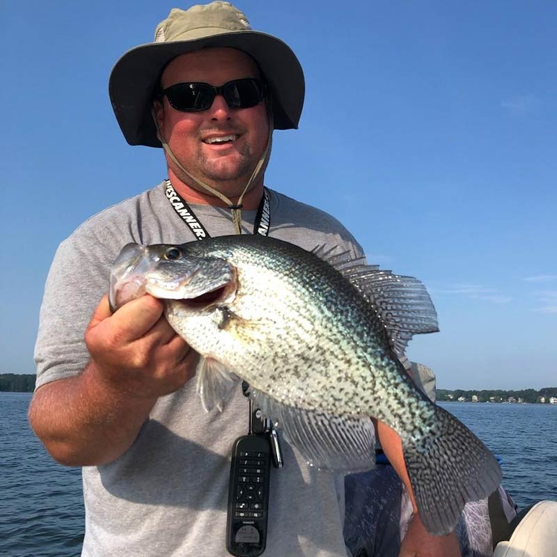 AHQ INSIDER Lake Greenwood (SC) 2023 Week 31 Fishing Report – Updated August 4
