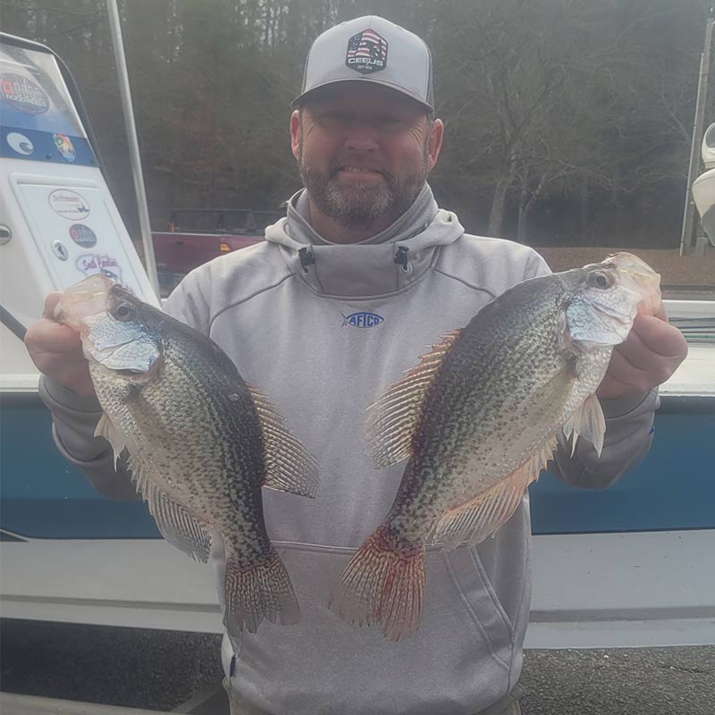AHQ INSIDER Lake Greenwood (SC) 2024 Week 8 Fishing Report – Updated February 23