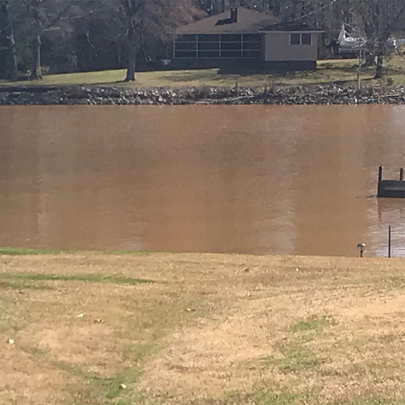 AHQ INSIDER Lake Greenwood (SC) Spring 2020 Fishing Report – Updated February 27