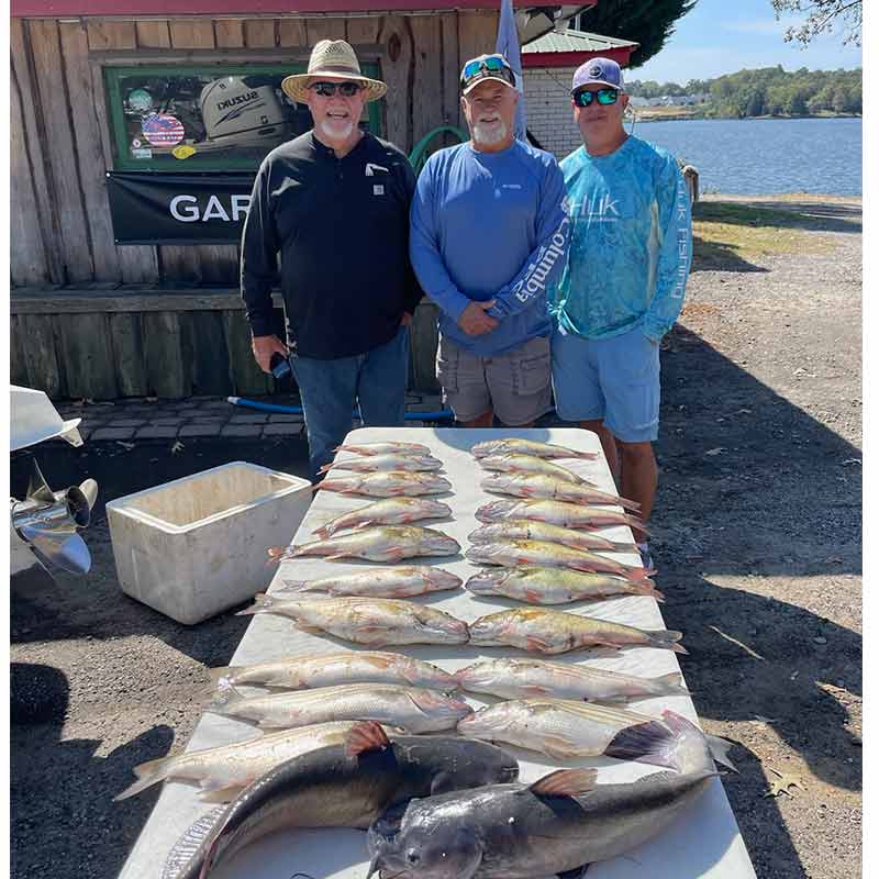AHQ INSIDER Lake Greenwood (SC) 2023 Week 41 Fishing Report – Updated October 13