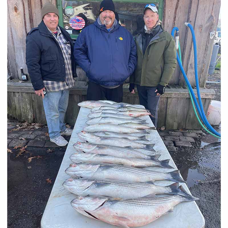 AHQ INSIDER Lake Greenwood (SC) 2023 Week 50 Fishing Report – Updated December 14