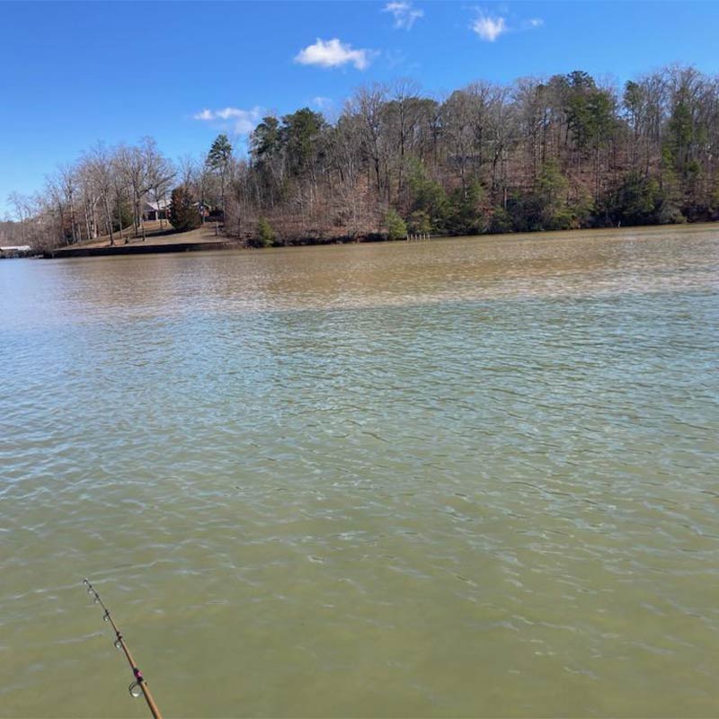 AHQ INSIDER Lake Hartwell (GA/SC) 2024 Week 10 Fishing Report – Updated March 7