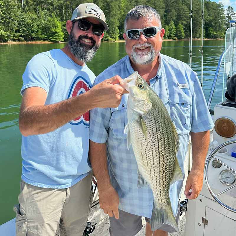 AHQ INSIDER Lake Hartwell (GA/SC) 2023 Week 22 Fishing Report – Updated June 1