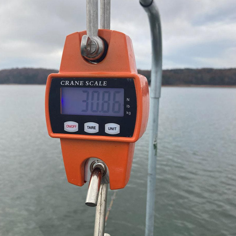 AHQ INSIDER Lake Hartwell (GA/SC) 2023 Week 48 Fishing Report – Updated November 29
