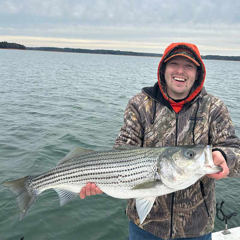 AHQ INSIDER Lake Hartwell (GA/SC) 2024 Week 1 Fishing Report – Updated January 4