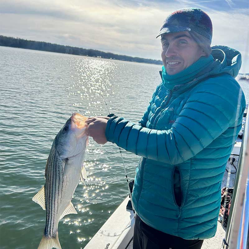 AHQ INSIDER Lake Hartwell (GA/SC) 2023 Week 51 Fishing Report – Updated December 21