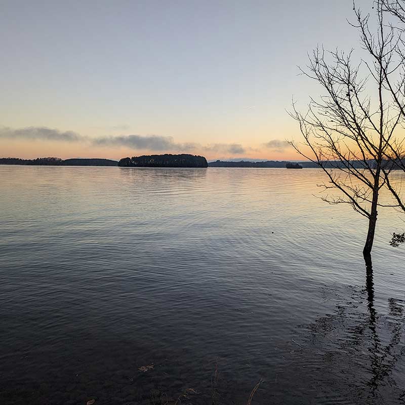 AHQ INSIDER Lake Keowee (SC) 2024 Week 5 Fishing Report - Updated February 1