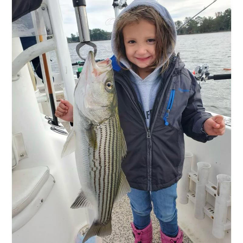 AHQ INSIDER Lake Murray (SC) 2022 Week 43 Fishing Report - Updated October 26