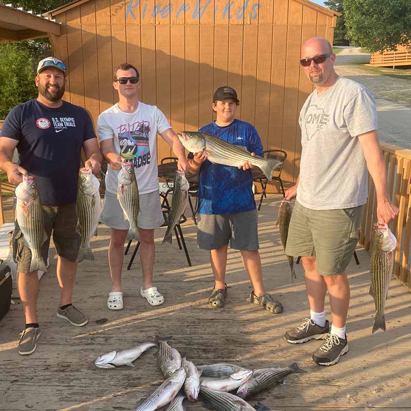 AHQ INSIDER Lake Murray (SC) Fall 2021 Fishing Report - Updated October 20