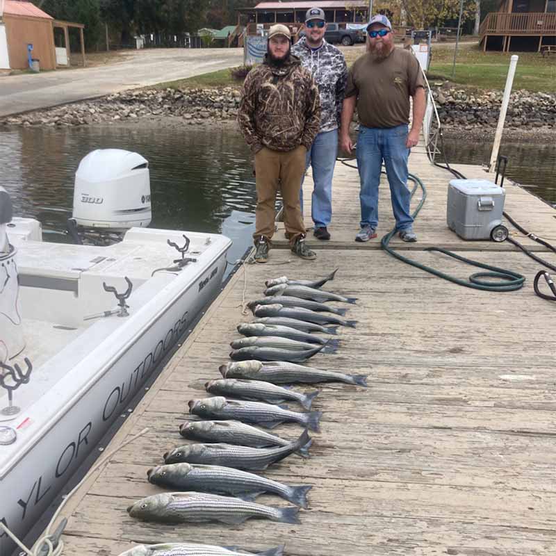 AHQ INSIDER Lake Murray (SC) 2022 Week 45 Fishing Report - Updated November 10