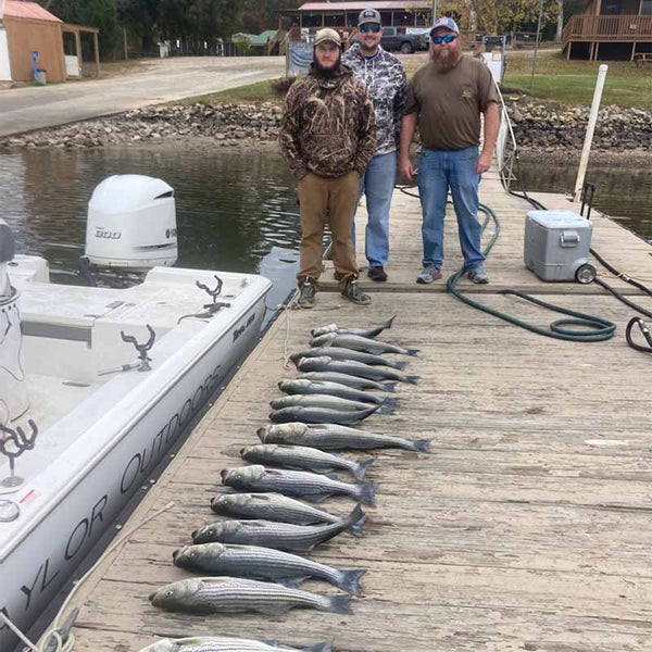AHQ INSIDER Lake Murray (SC) 2022 Week 45 Fishing Report