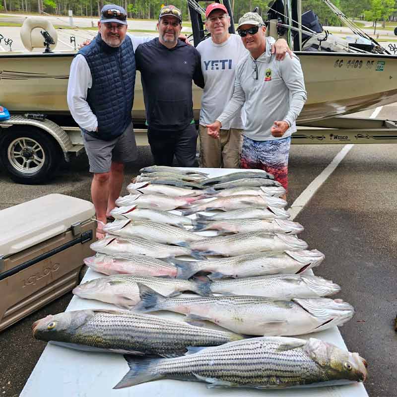 AHQ INSIDER Lake Murray (SC) 2023 Week 25 Fishing Report - Updated June 22