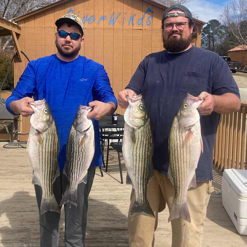 AHQ INSIDER Lake Murray (SC) Spring 2022 Fishing Report - Updated March 1