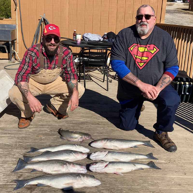 AHQ INSIDER Lake Murray (SC) Spring 2022 Fishing Report - Updated January 20