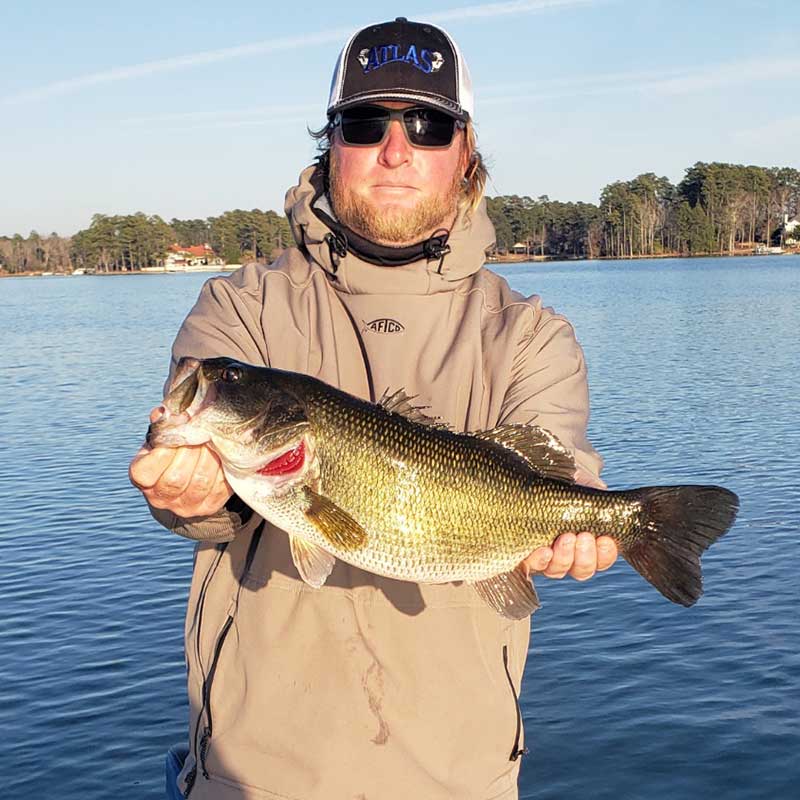 AHQ INSIDER Lake Murray (SC) Spring 2022 Fishing Report - Updated February 18