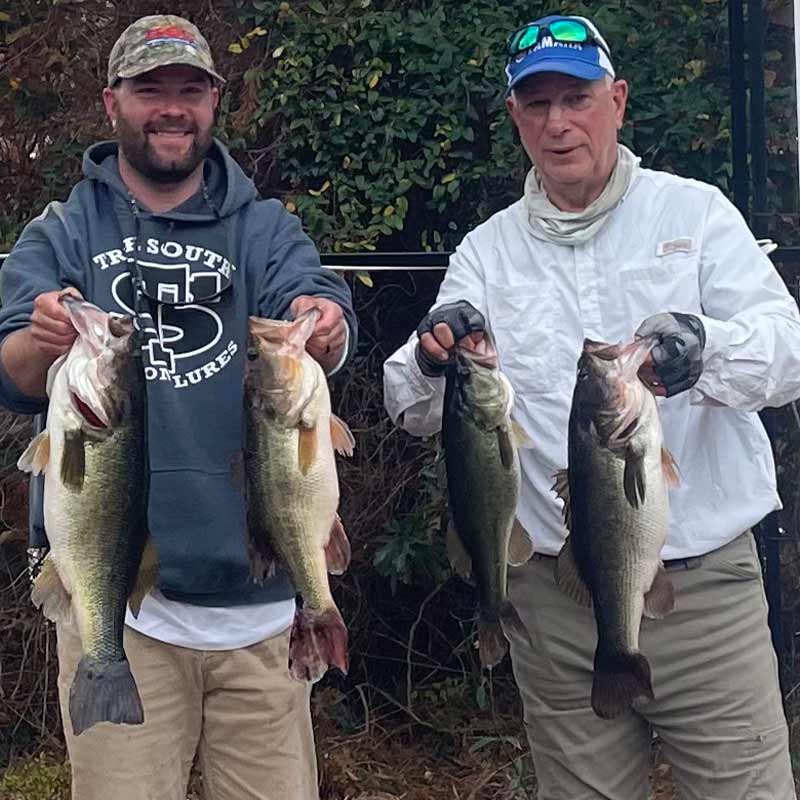 AHQ INSIDER Lake Murray (SC) Fall 2021 Fishing Report - Updated December 22