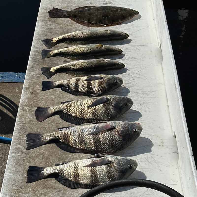 AHQ INSIDER North Myrtle Beach (North Grand Strand, SC) 2023 Week 45 Fishing Report – Updated November 9