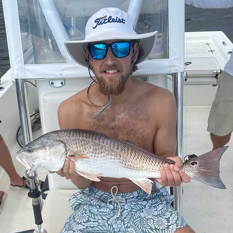 AHQ INSIDER North Myrtle Beach (North Grand Strand, SC) 2022 Week 35 Fishing Report – Updated August 30