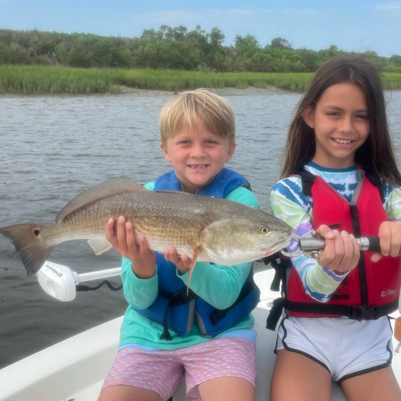 AHQ INSIDER North Myrtle Beach (North Grand Strand, SC) 2022 Week 25 Fishing Report – Updated June 24