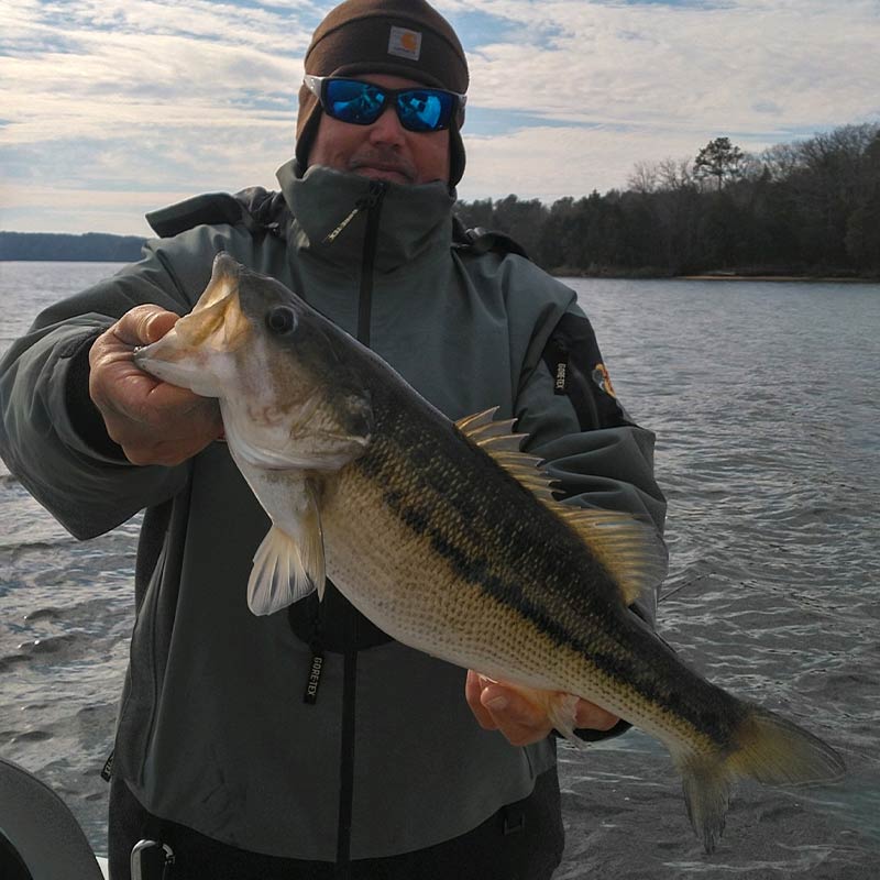 AHQ INSIDER Lake Russell (GA/SC) 2024 Week 5 Fishing Report – Updated January 31