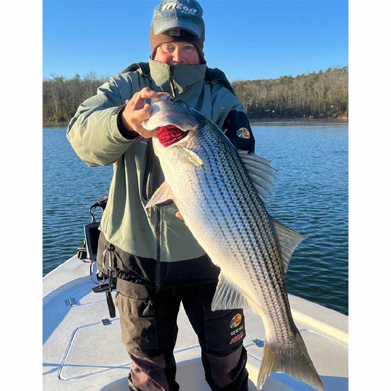AHQ INSIDER Lake Russell (GA/SC) 2024 Week 1 Fishing Report – Updated January 4