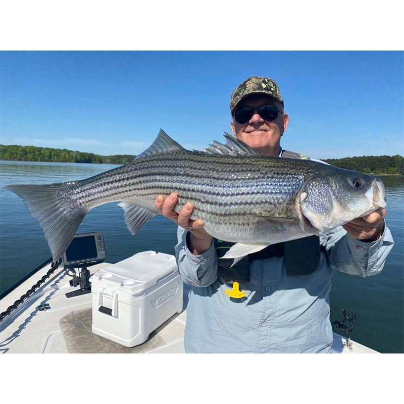 AHQ INSIDER Lake Russell (GA/SC) 2024 Week 17 Fishing Report – Updated April 25