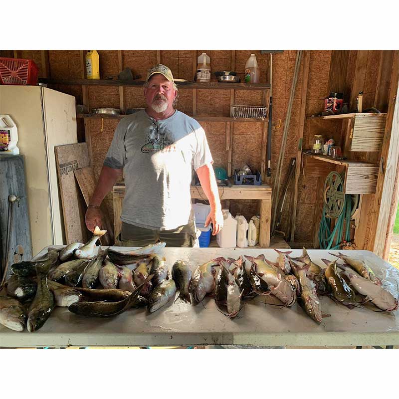 AHQ INSIDER Lake Russell (GA/SC) 2023 Week 23 Fishing Report – Updated June 8