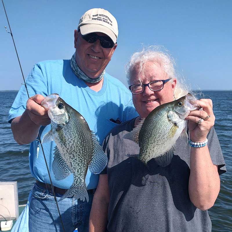 AHQ INSIDER Santee Cooper (SC) 2023 Week 40 Fishing Report – Updated October 5