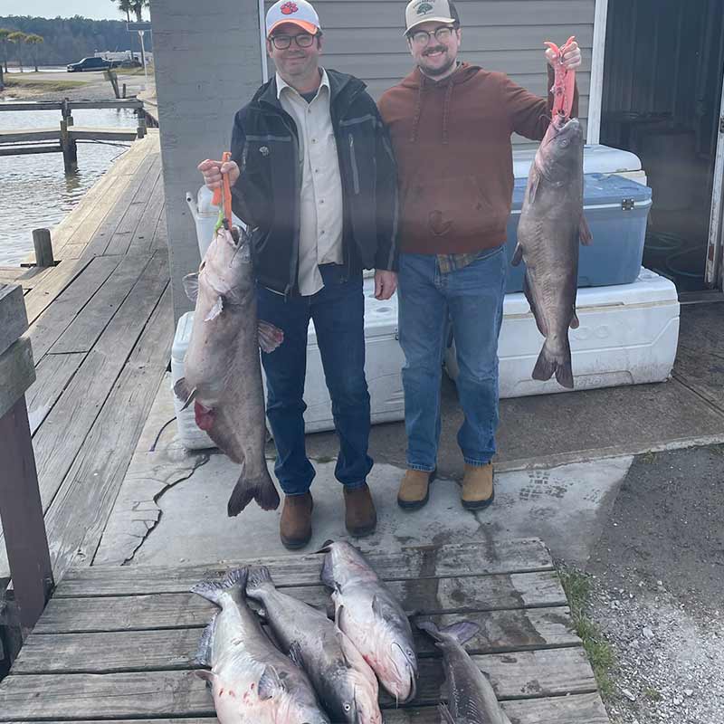 AHQ INSIDER Santee Cooper (SC) 2024 Week 9 Fishing Report – Updated February 29