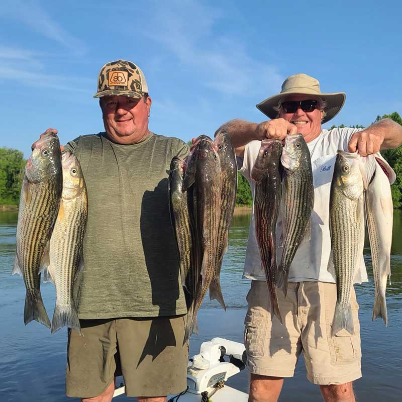 AHQ INSIDER Santee Cooper (SC) 2023 Week 21 Fishing Report – Updated May 26