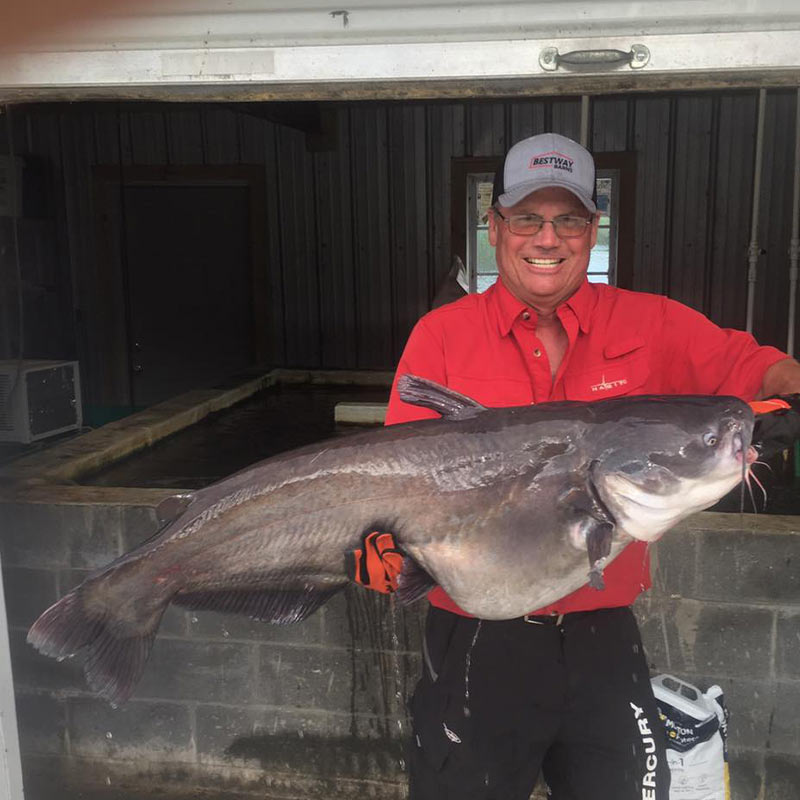 AHQ INSIDER Santee Cooper (SC) 2022 Week 36 Fishing Report – Updated September 8