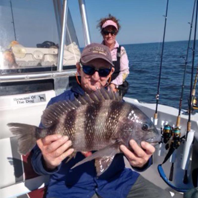 AHQ INSIDER South Grand Strand/ Murrells Inlet (SC) Spring 2021 Fishing Report – Updated April 2