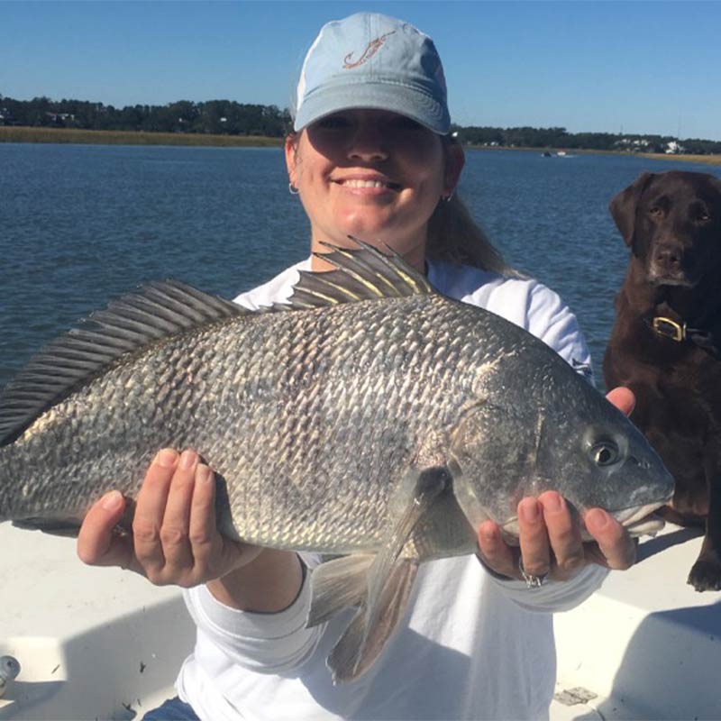 AHQ INSIDER South Grand Strand (SC) Fall 2019 Fishing Report – Updated December 24