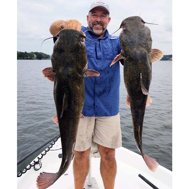 AHQ INSIDER Lake Wylie (NC/SC) 2023 Week 37 Fishing Report – Updated September 14